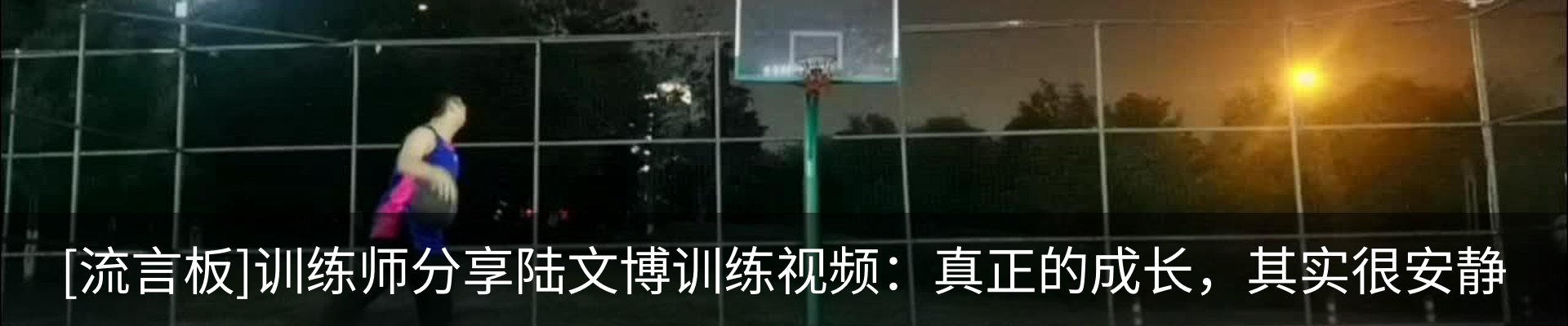 最新动态